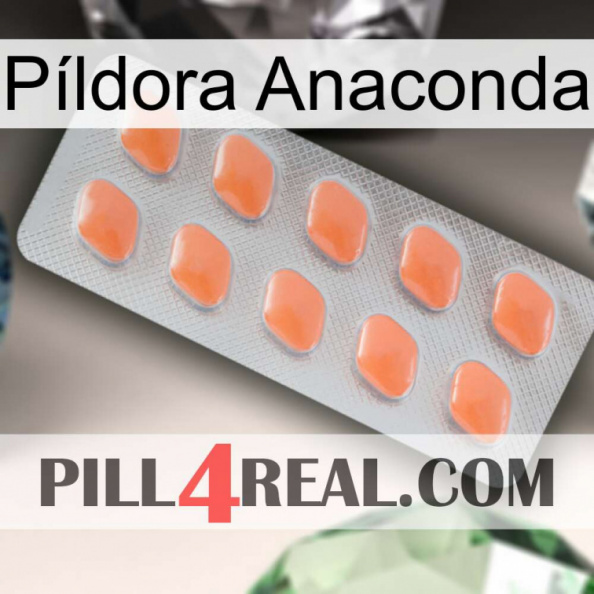 Píldora Anaconda 26.jpg